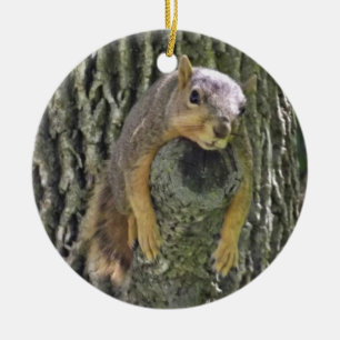 Ornamento de Navidad Funn Squirrel