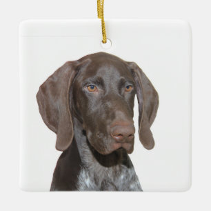 Ornamento de Navidad Glossy Grizzly