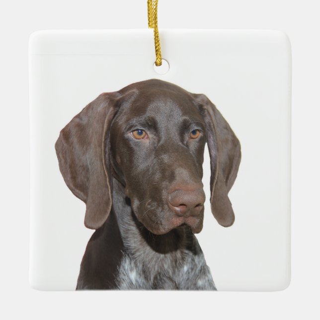 Ornamento de Navidad Glossy Grizzly (Anverso)