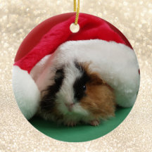 Ornamento de Navidad para animales de cerdo de Gui