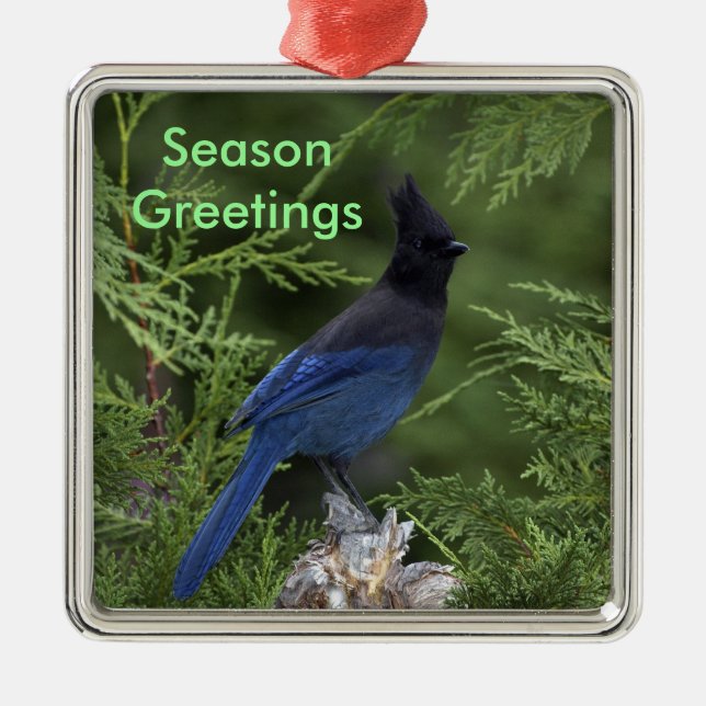 Ornamento de Navidad Stellar Jay (Frente)