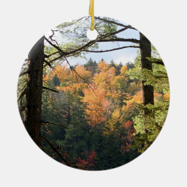 Ornamento de New Hampshire 7729 (Atrás)