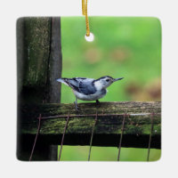 Ornamento de Nuthatch