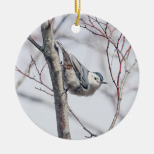Ornamento de nuthatch blanco lindo