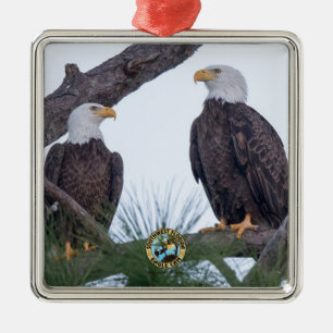 Ornamento de objetivos de pareja SWFL Eagle Cam