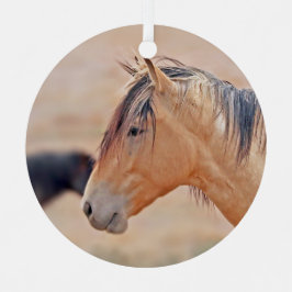 Ornamento de observación de Stallion