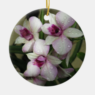 Ornamento de Orchideas