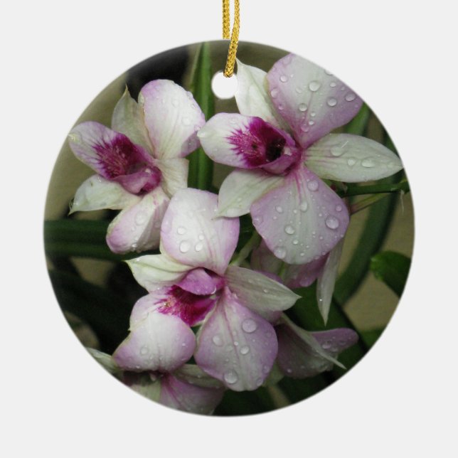 Ornamento de Orchideas (Frente)