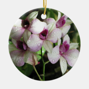Ornamento de Orquideas