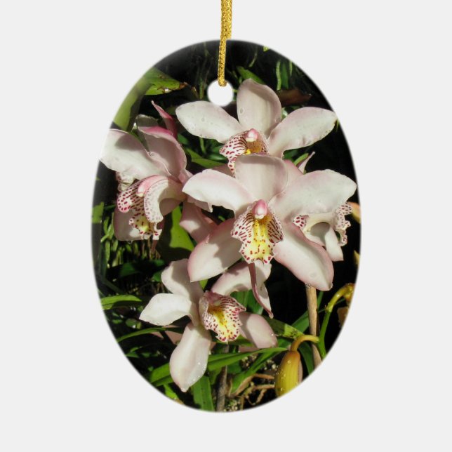 Ornamento de orquídeas de cimbidio, personalizar (Frente)