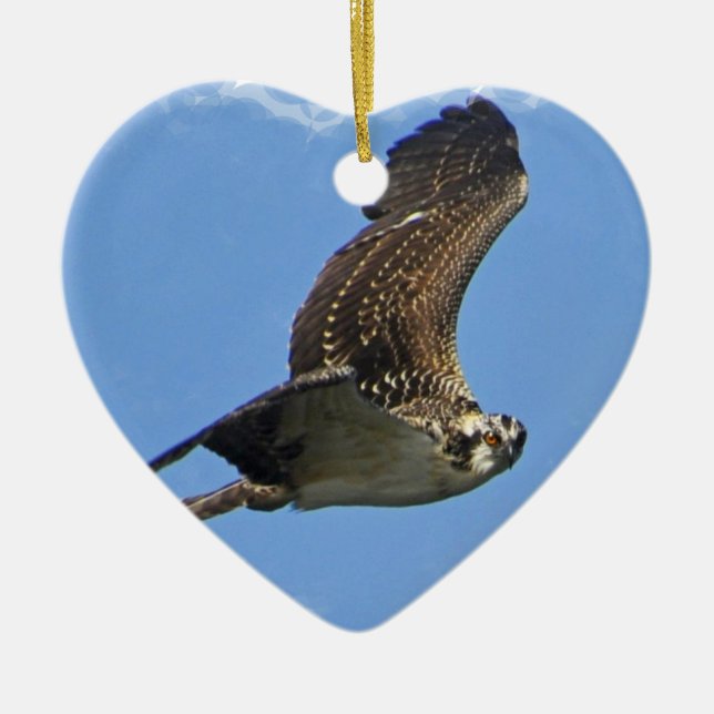 Ornamento de Osprey del vuelo (Frente)