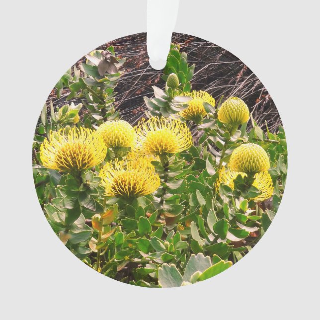 Ornamento de pájaro amarillo de Pincushion de cabe (Anverso)