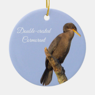Ornamento de pájaro cormorante de doble cresta