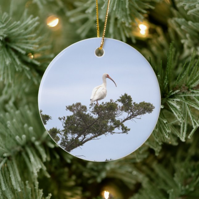 Ornamento de pájaro Ibis (Árbol)