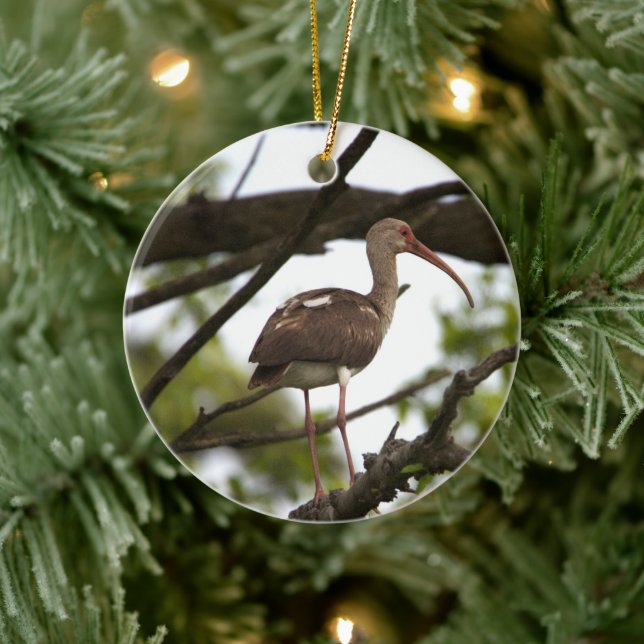 Ornamento de pájaro Ibis (Árbol)
