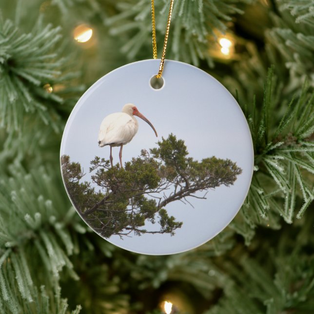 Ornamento de pájaro Ibis (Árbol)