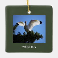 Ornamento de pájaro Ibis blanco