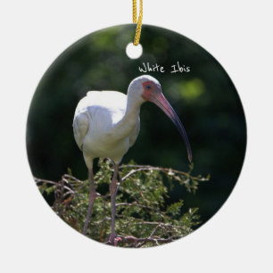 Ornamento de pájaro Ibis blanco