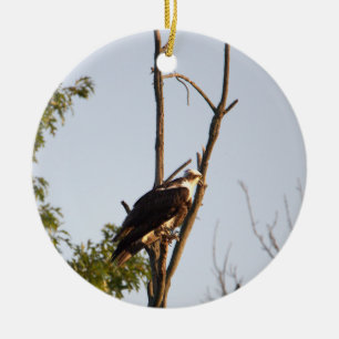 Ornamento de pájaro Osprey