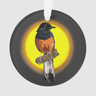 Ornamento de pájaro shama blanco