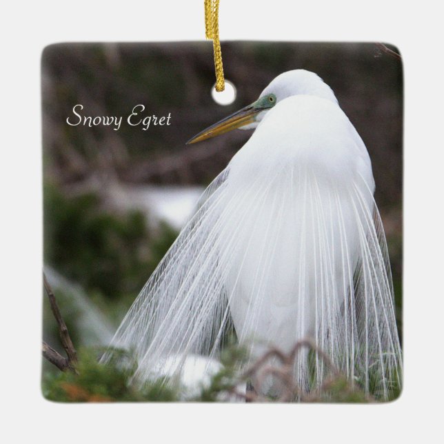 Ornamento de pájaro Snowy Egret (Anverso)