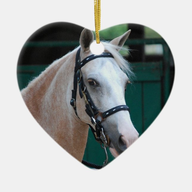 Ornamento de Paso Fino del Palomino (Frente)