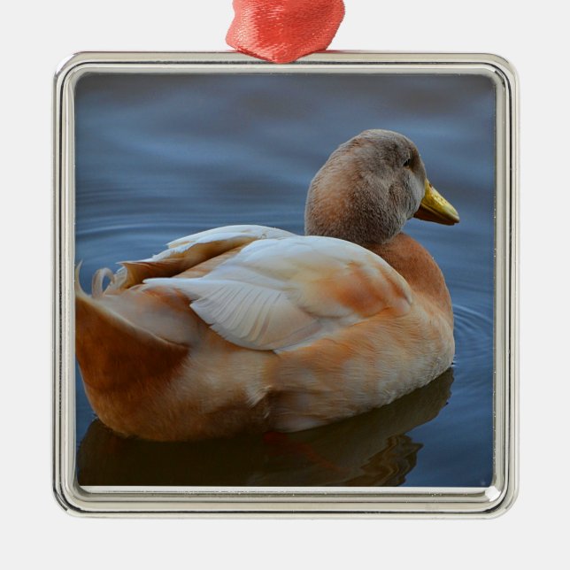 Ornamento de pato (Frente)