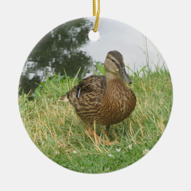 Ornamento de pato mallard femenino (Frente)
