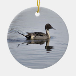 Ornamento de pato pintail