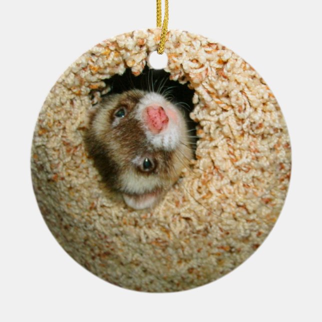 Ornamento de Pauley del escondite (Frente)