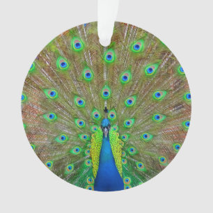 Ornamento de pavo real azul #3