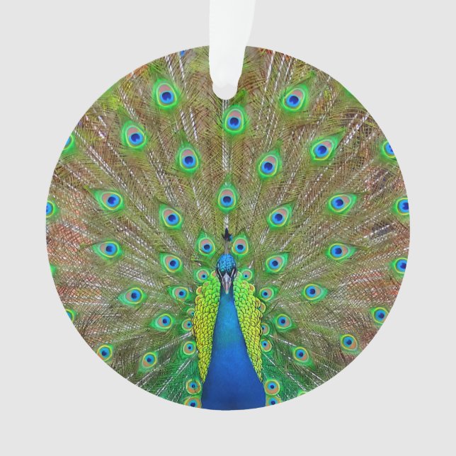 Ornamento de pavo real azul #3 (Anverso)