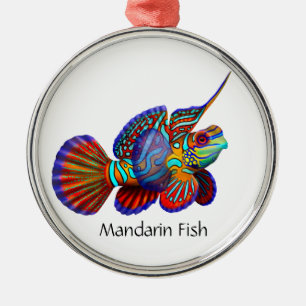 Ornamento de peces Mandarin Goby Dragonet
