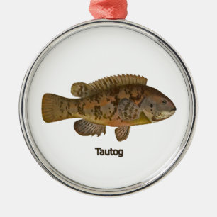Ornamento de peces Tautog