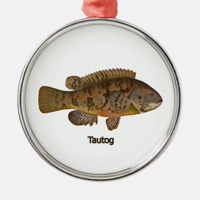 Ornamento de peces Tautog (Frente)