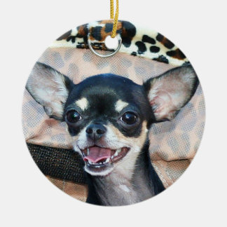 Ornamento de perro chihuahua