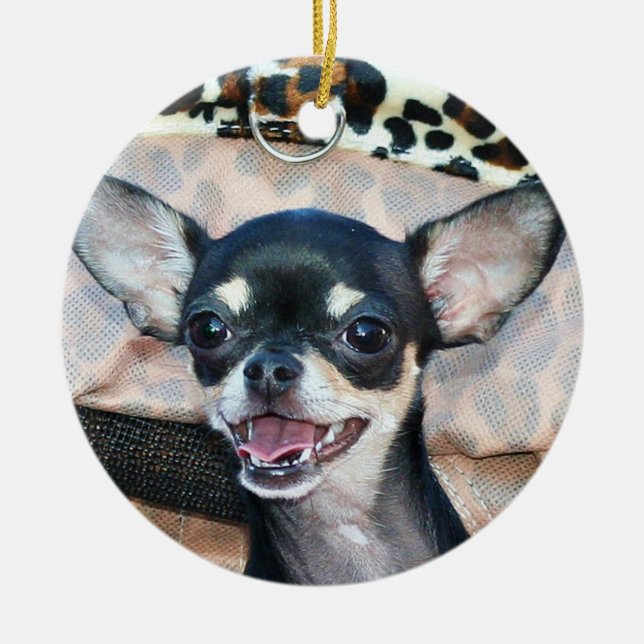 Ornamento de perro chihuahua (Frente)