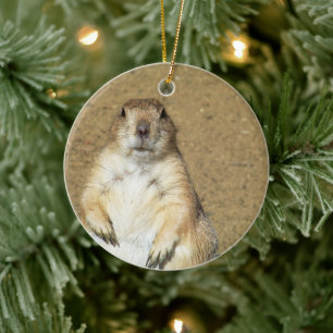 Ornamento de Perro Cute Prairie