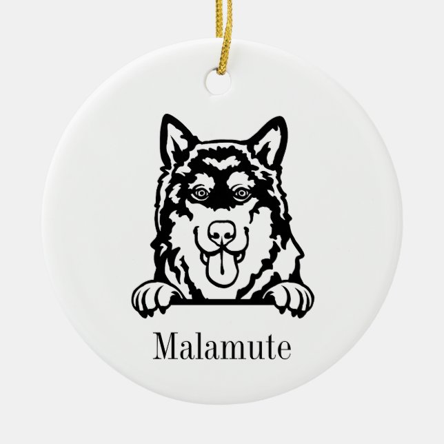 Ornamento de perro de Alaskan Malamute (Frente)