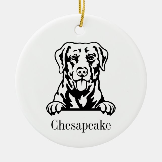 Ornamento de perro de Chesapeake Bay Retriever (Frente)