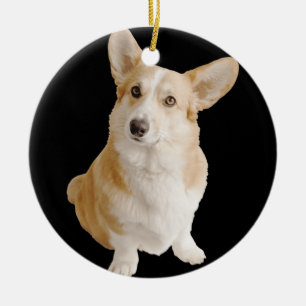 Ornamento de perro de Corgi galés