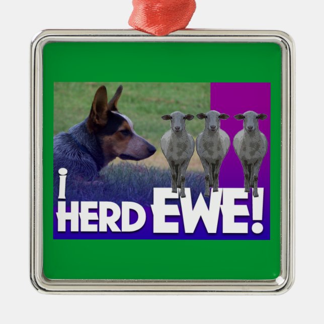 ORNAMENTO DE PERRO DE GANADO AUSTRALIANO I HERD EW (Frente)