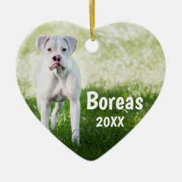 Ornamento de perro de Navidades personalizados del