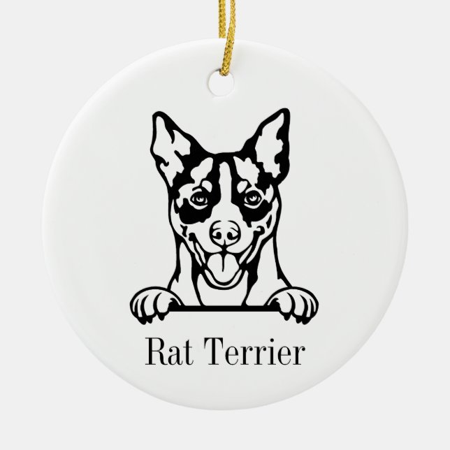 Ornamento de perro de Rat Terrier (Frente)