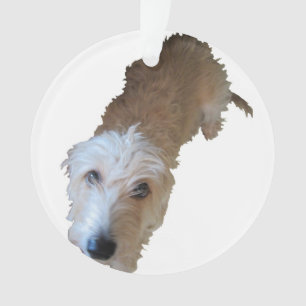 Ornamento de perro de Scruffy