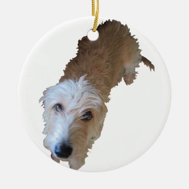 Ornamento de perro de Scruffy (Frente)