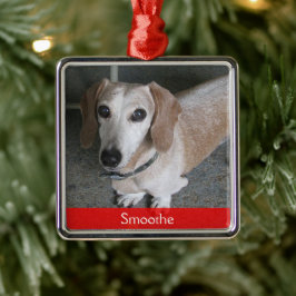 Ornamento de perro fotográfico personalizado