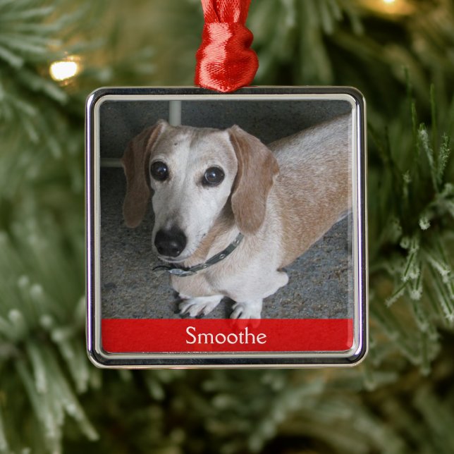 Ornamento de perro fotográfico personalizado (Árbol)