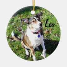 Ornamento de perro personalizado