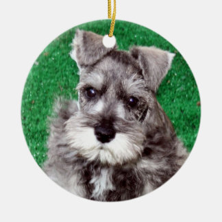 Ornamento de perro picante Schnauzer en miniatura